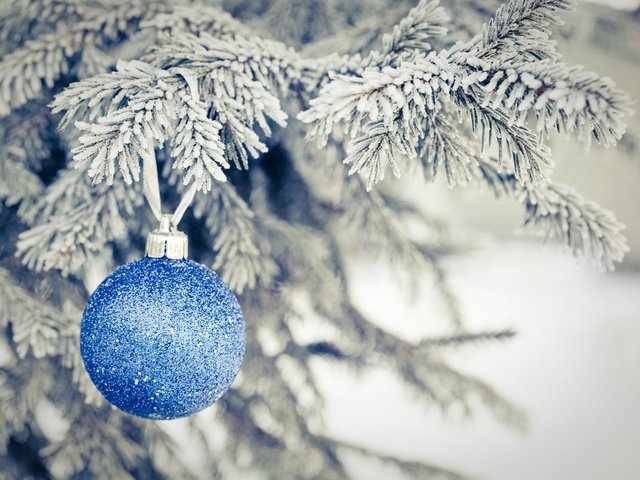 Обои новый год, елка, хвоя, ветки, иней, шар, рождество, new year, tree, needles, branches, frost, ball, christmas разрешение 1920x1200 Загрузить