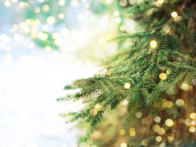 Обои новый год, елка, хвоя, ветки, блики, рождество, боке, new year, tree, needles, branches, glare, christmas, bokeh разрешение 2880x1800 Загрузить