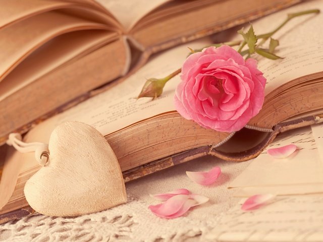 Обои цветок, роза, лепестки, книги, сердце, любовь, романтика, flower, rose, petals, books, heart, love, romance разрешение 5616x3744 Загрузить