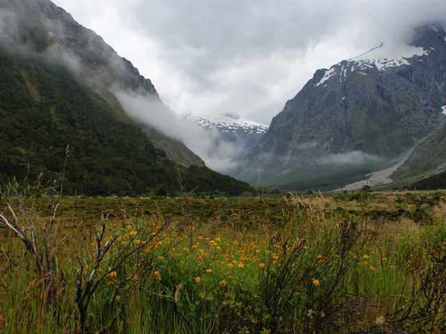 Обои горы, растения, пейзаж, туман, mountains, plants, landscape, fog разрешение 4592x3056 Загрузить