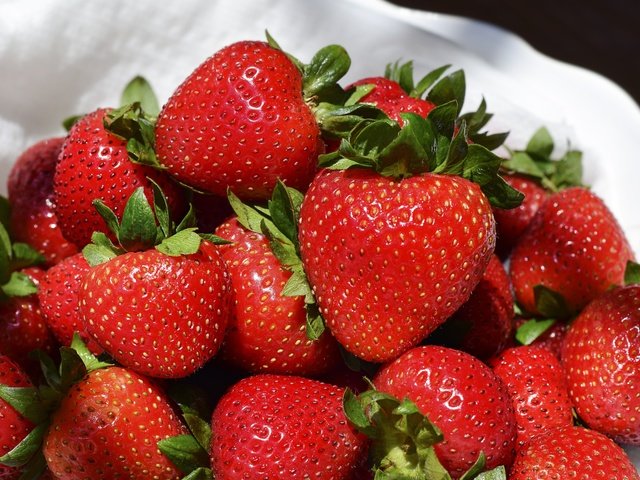 Обои клубника, ягоды, земляника, strawberry, berries, strawberries разрешение 5547x3962 Загрузить