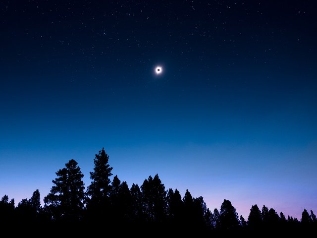 Обои небо, ночь, деревья, природа, луна, силуэт, the sky, night, trees, nature, the moon, silhouette разрешение 3000x2000 Загрузить