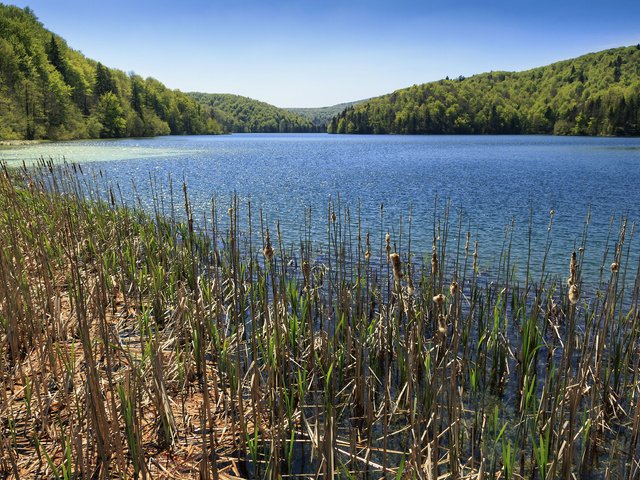 Обои озеро, природа, лес, хорватия, плитвицкие озёра, национальном парк, plitvice national park, lake, nature, forest, croatia, plitvice lakes, national park разрешение 3750x2500 Загрузить