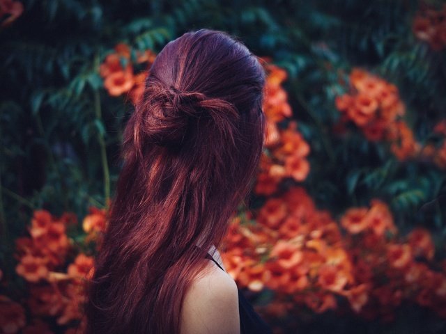 Обои цветы, девушка, модель, волосы, прическа, загадка, боке, flowers, girl, model, hair, hairstyle, mystery, bokeh разрешение 3000x1997 Загрузить