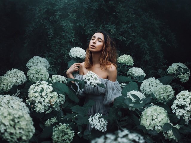 Обои цветы, девушка, настроение, гортензия, amy spanos, flowers, girl, mood, hydrangea разрешение 2048x1365 Загрузить