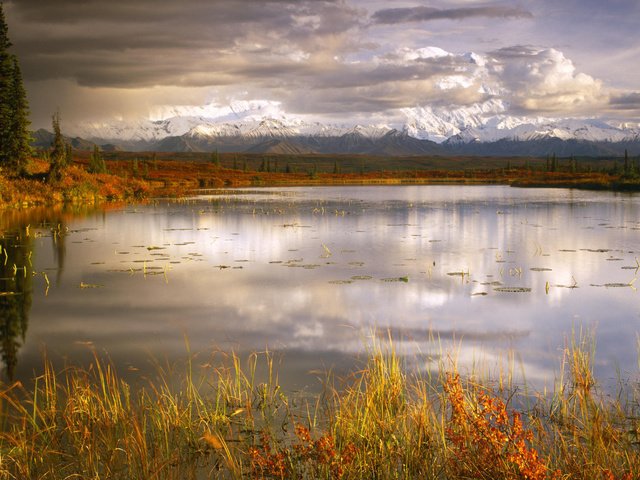 Обои трава, озеро, пасмурно, grass, lake, overcast разрешение 1920x1080 Загрузить