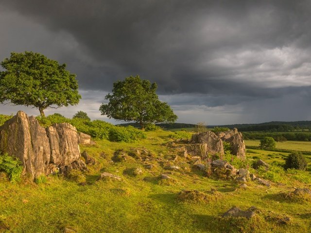 Обои деревья, англия, холм, луга, beacon hill, гэмпшир, burghclere, trees, england, hill, meadows, hampshire разрешение 2047x1096 Загрузить