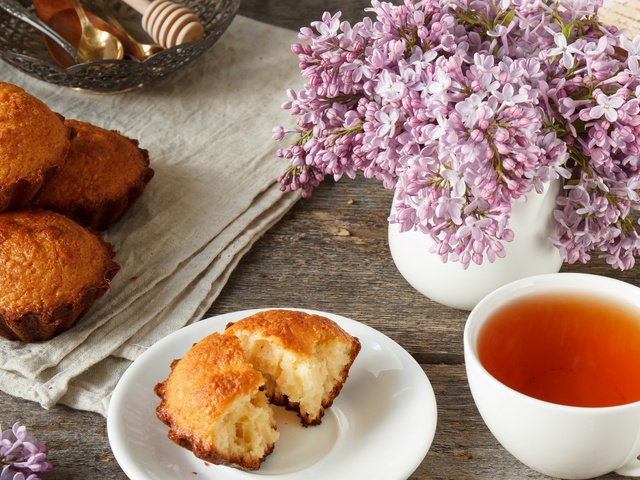 Обои дерево, фон, весна, чай, сирень, кекс, tree, background, spring, tea, lilac, cupcake разрешение 2112x1188 Загрузить