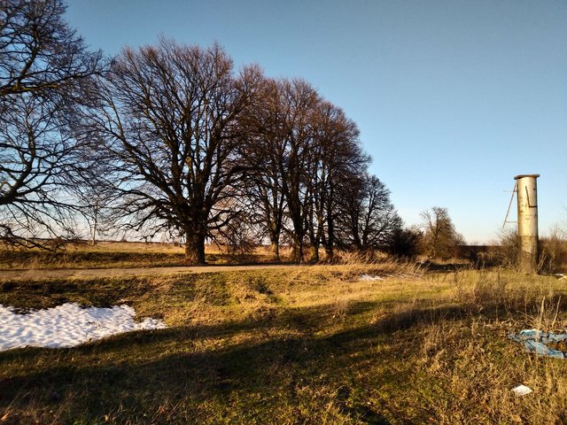 Обои небо, деревья, пейзаж, stailing, the sky, trees, landscape разрешение 4032x3016 Загрузить