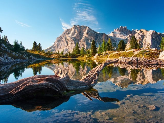 Обои озеро, горы, отражение, коряга, lake, mountains, reflection, snag разрешение 2048x1152 Загрузить