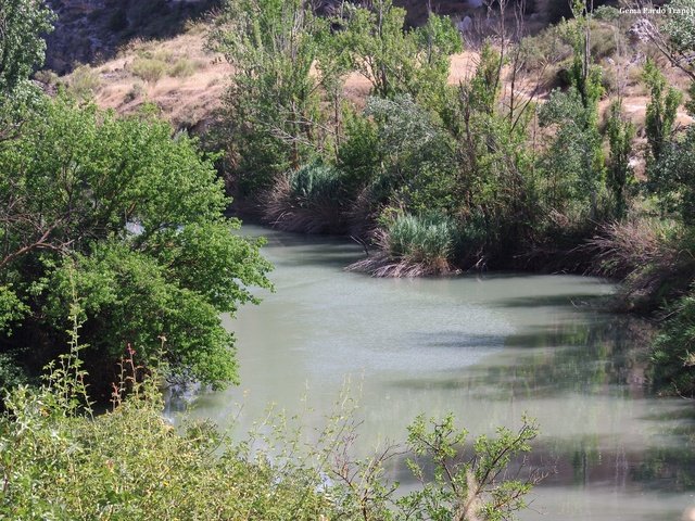 Обои вода, река, природа, отражение, испания, растительность, water, river, nature, reflection, spain, vegetation разрешение 2000x1338 Загрузить