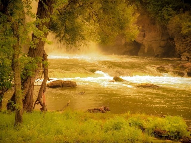 Обои трава, деревья, река, скалы, природа, берег, лес, grass, trees, river, rocks, nature, shore, forest разрешение 1920x1080 Загрузить