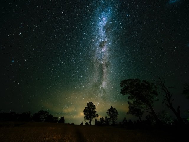 Обои деревья, космос, звездное небо, млечный путь, trees, space, starry sky, the milky way разрешение 2560x1600 Загрузить