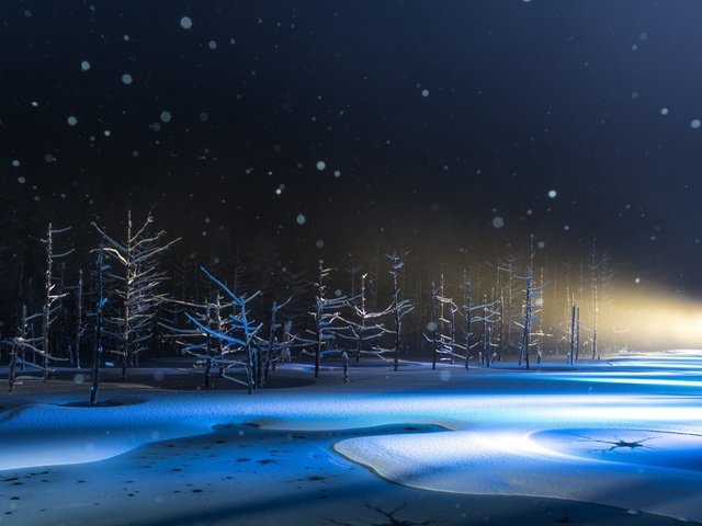 Обои свет, деревья, снег, природа, япония, light, trees, snow, nature, japan разрешение 2040x1300 Загрузить