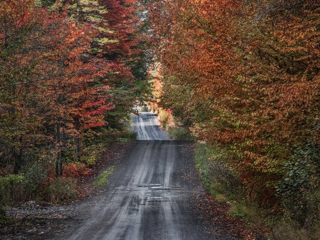 Обои дорога, деревья, природа, лес, осень, road, trees, nature, forest, autumn разрешение 3840x2160 Загрузить