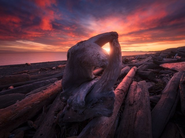 Обои берег, закат, море, коряга, shore, sunset, sea, snag разрешение 2048x1373 Загрузить