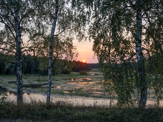 Обои деревья, река, природа, закат, пейзаж, леса, trees, river, nature, sunset, landscape, forest разрешение 2278x1520 Загрузить