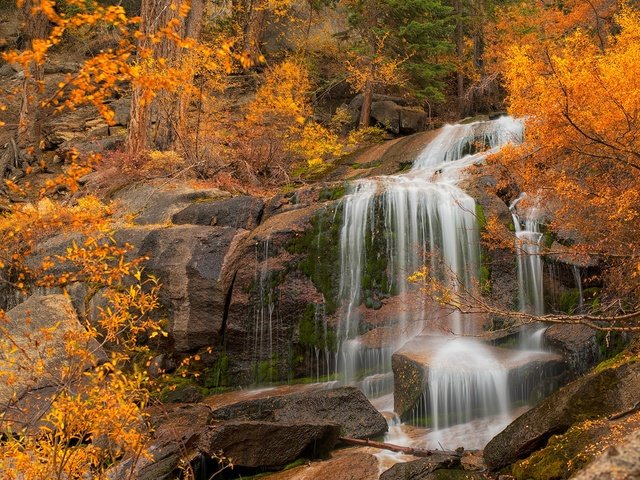 Обои деревья, скала, водопад, осень, калифорния, каскад, eastern sierra, trees, rock, waterfall, autumn, ca, cascade разрешение 2000x1292 Загрузить