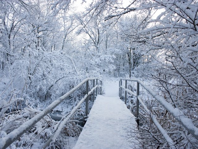 Обои деревья, снег, природа, зима, пейзаж, мост, trees, snow, nature, winter, landscape, bridge разрешение 4272x2848 Загрузить