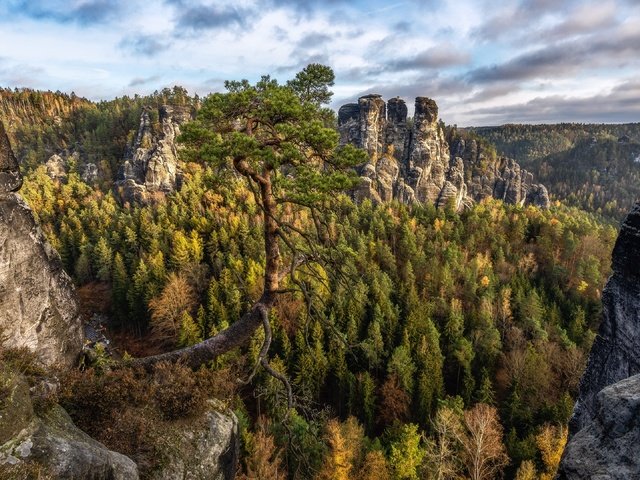 Обои горы, природа, лес, mountains, nature, forest разрешение 3840x2160 Загрузить