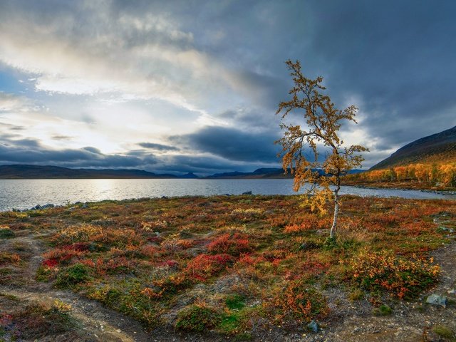 Обои озеро, осень, береза, деревце, финляндия, лапландия, lake, autumn, birch, tree, finland, lapland разрешение 3072x1728 Загрузить