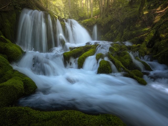 Обои река, водопады, камни, каскад, зелень, лес, водопад, поток, мох, корни, river, waterfalls, stones, cascade, greens, forest, waterfall, stream, moss, roots разрешение 2048x1365 Загрузить