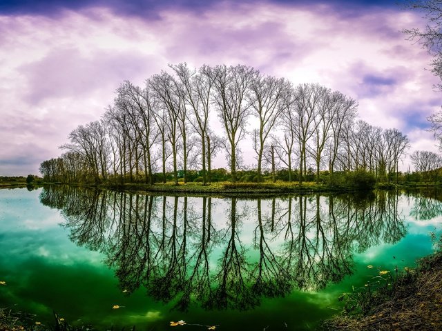 Обои деревья, вода, река, природа, осень, trees, water, river, nature, autumn разрешение 3840x2160 Загрузить