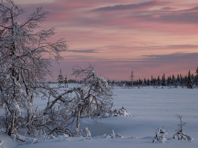 Обои снег, закат, зима, snow, sunset, winter разрешение 3840x2160 Загрузить