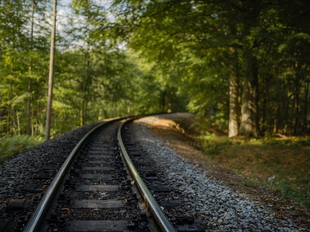 Обои железная дорога, природа, лес, railroad, nature, forest разрешение 7360x4912 Загрузить