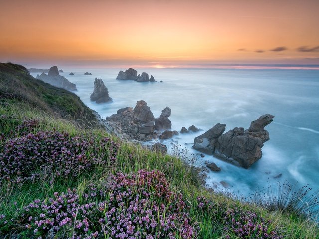 Обои цветы, скалы, берег, море, flowers, rocks, shore, sea разрешение 2048x1366 Загрузить