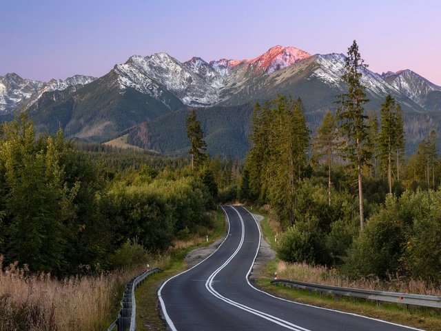 Обои дорога, лес, лето, road, forest, summer разрешение 2048x1365 Загрузить