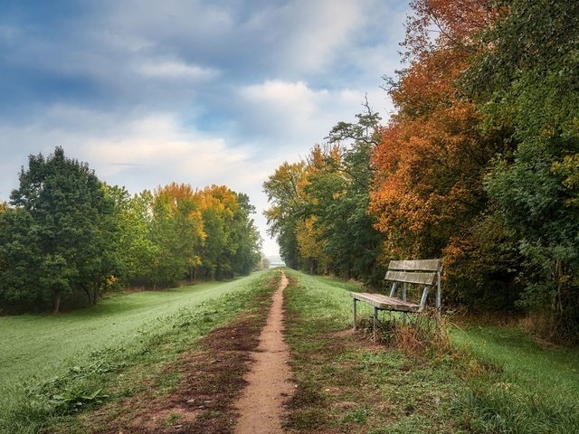 Обои дорога, осень, скамья, road, autumn, bench разрешение 2048x1365 Загрузить