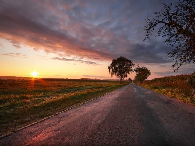 Обои дорога, закат, поле, road, sunset, field разрешение 2048x1300 Загрузить