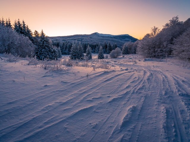 Обои небо, ели, дорога, вечер, горы, снег, лес, зима, ветки, the sky, ate, road, the evening, mountains, snow, forest, winter, branches разрешение 7480x4989 Загрузить