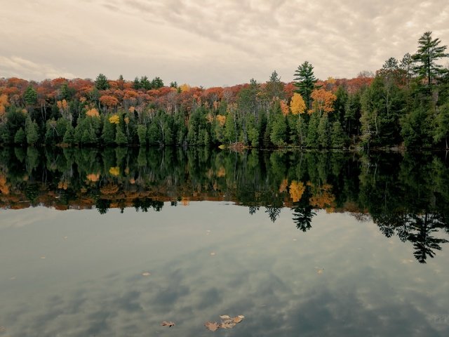 Обои озеро, лес, lake, forest разрешение 3840x2160 Загрузить