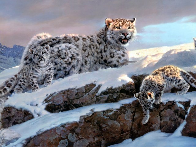 Обои зима, снежные барсы, nancy glazier, winter, snow leopards разрешение 4366x2178 Загрузить