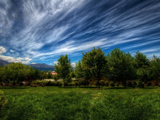 Обои небо, трава, облака, деревья, природа, зелень, пейзаж, the sky, grass, clouds, trees, nature, greens, landscape разрешение 2880x1800 Загрузить