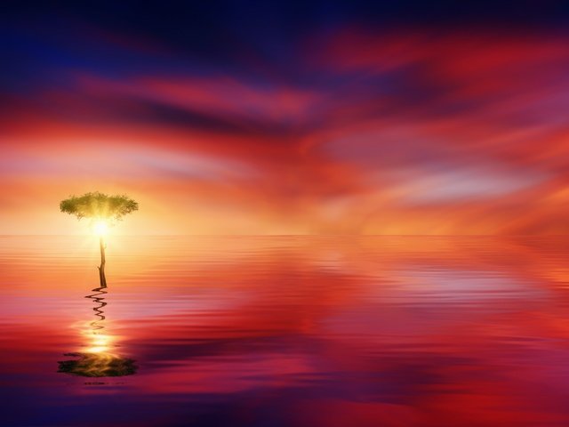 Обои дерево, отражение, море, горизонт, tree, reflection, sea, horizon разрешение 3835x1985 Загрузить