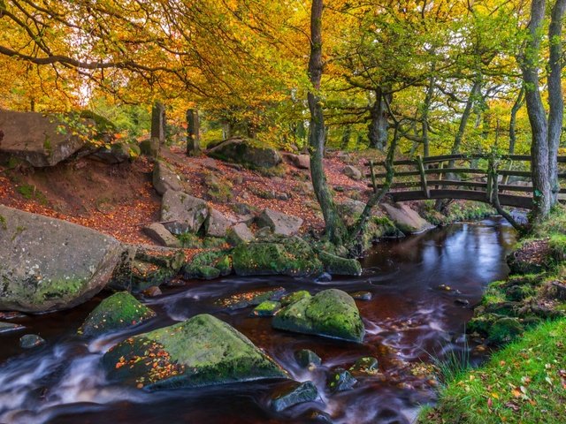 Обои деревья, речка, природа, камни, мостик, лес, пейзаж, парк, осень, trees, river, nature, stones, the bridge, forest, landscape, park, autumn разрешение 2850x1771 Загрузить