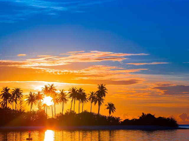 Обои закат, пальмы, тропики, sunset, palm trees, tropics разрешение 1920x1080 Загрузить