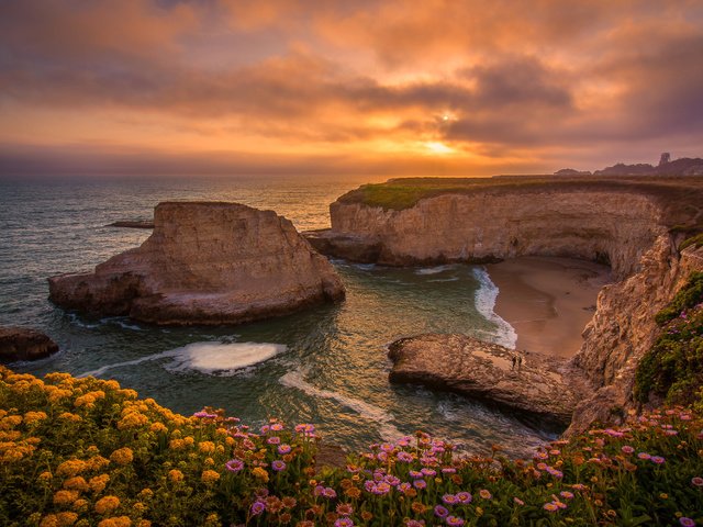 Обои цветы, санта-крус, скалы, shark fin cove, закат, санта-круз, побережье, калифорния, бухта, pacific ocean, тихий океан, ка­ли­фор­нийс­кая, california, flowers, santa cruz, rocks, sunset, coast, ca, bay, the pacific ocean разрешение 3000x2002 Загрузить