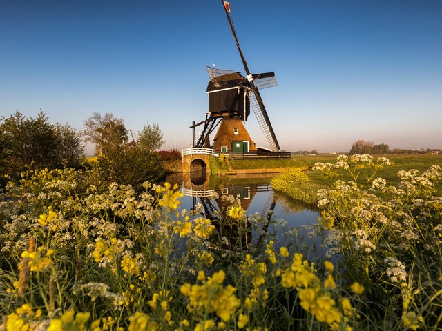 Обои вода, канал, мельница, нидерланды, zuid-holland, water, channel, mill, netherlands разрешение 2112x1188 Загрузить