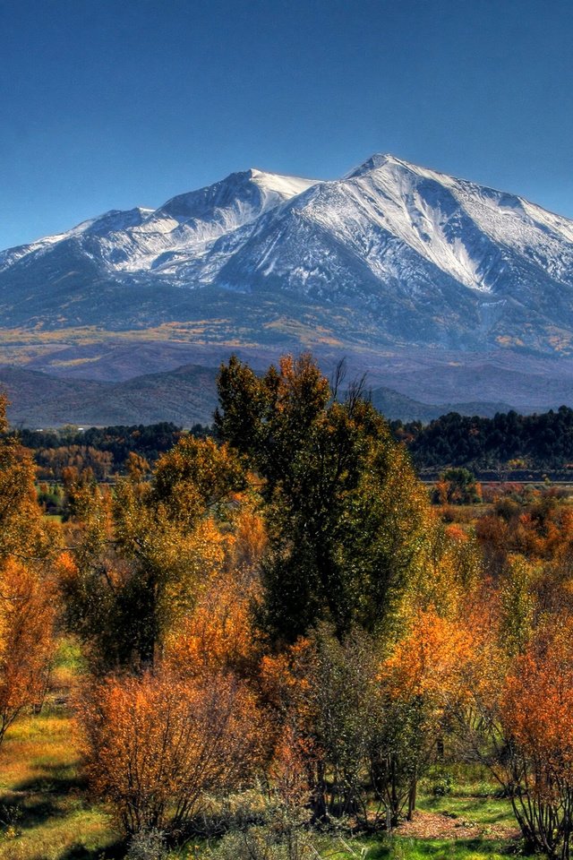 Обои деревья, гора, осень, trees, mountain, autumn разрешение 2560x1600 Загрузить