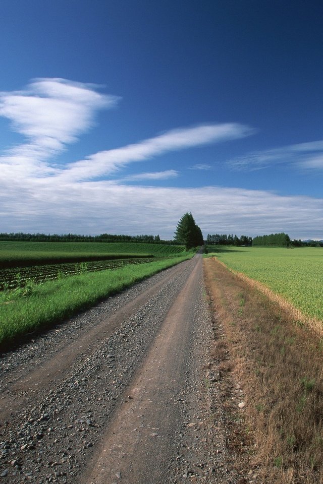 Обои дорога, облака, деревья, поле, road, clouds, trees, field разрешение 1920x1440 Загрузить