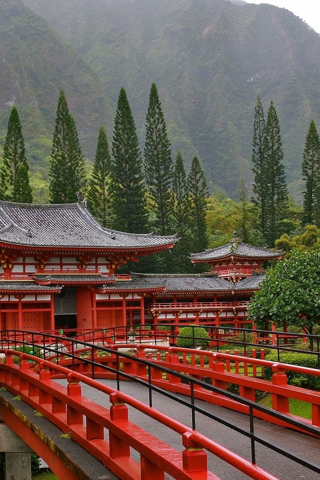 Обои деревья, мост, пагода, япония, trees, bridge, pagoda, japan разрешение 1920x1200 Загрузить