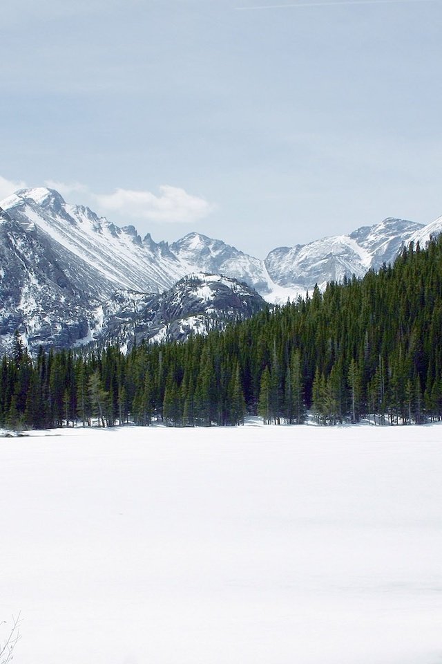 Обои горы, снег, лес, mountains, snow, forest разрешение 1920x1200 Загрузить