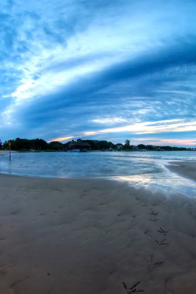 Обои небо, дерево, песок, следы, the sky, tree, sand, traces разрешение 1920x1200 Загрузить