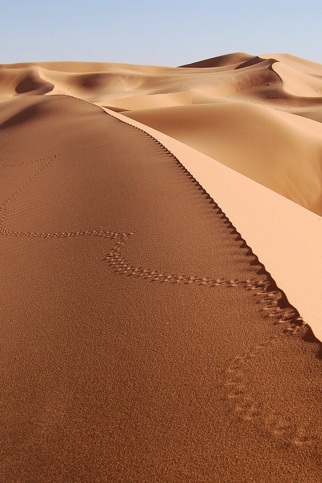 Обои песок, пустыня, следы, sand, desert, traces разрешение 1920x1080 Загрузить