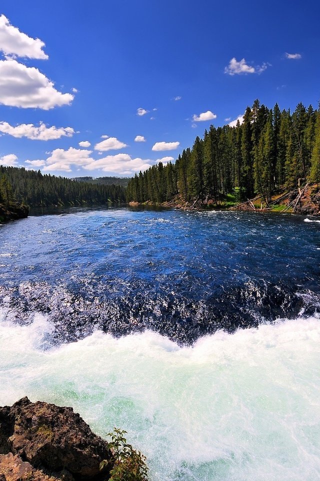 Обои река йеллоустон, йеллоустонский национальный парк, пороги, river yellowstone, yellowstone national park, thresholds разрешение 1920x1200 Загрузить