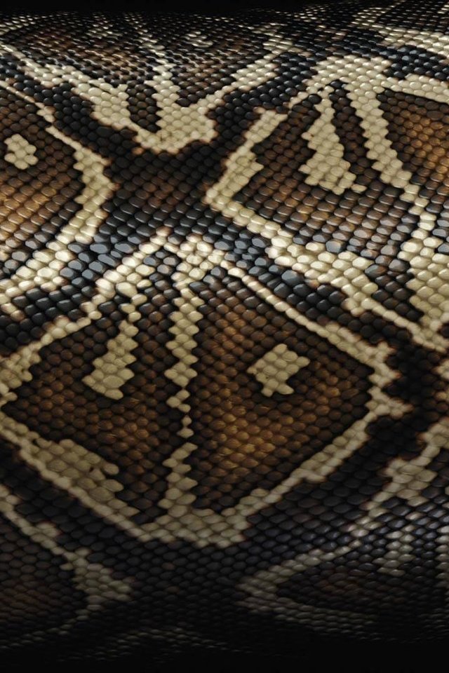 Обои текстура, шкура, змеи, texture, skin, snakes разрешение 1920x1080 Загрузить